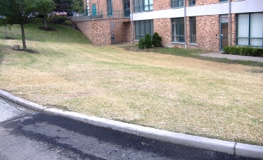Mercyhurst College_2